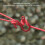 Roter Typ Linienkabel-Spanner - Unverzichtbares Camping-Tool 7