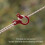 Roter Typ Linienkabel-Spanner - Unverzichtbares Camping-Tool 8