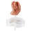 Einzigartige Silikonform,-Haltendes Engelsbaby m 1