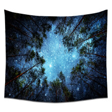 Charming Nature Decor Tapestries, Unique Design Starry Sky Moon Stars for Bedroom Living Room Decor, Super Non-Fading Polyester Fabric, 51.2"