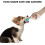 Furry Friend's Smile Saver: Οδοντόβουρτσα γάτας για απαλή οδοντική φροντίδα, τρίχες 360º για 6