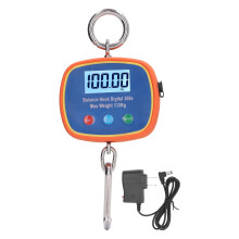 Farm Weighing Scale Digital Hanging Scale For Outdoor Fishing With Precision Sensor Industrial Crane Scale Large LCD Screen High Strength Material