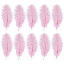 10 Pezzi Di Piume Naturali Di Struzzo Decorazione Della Festa Nuziale Rosa 20-25 Cm