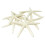 12PCS White Finger Starfish 5-10cm Decorative five-finger starfish 1