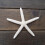 12PCS White Finger Starfish 5-10cm Decorative five-finger starfish 6