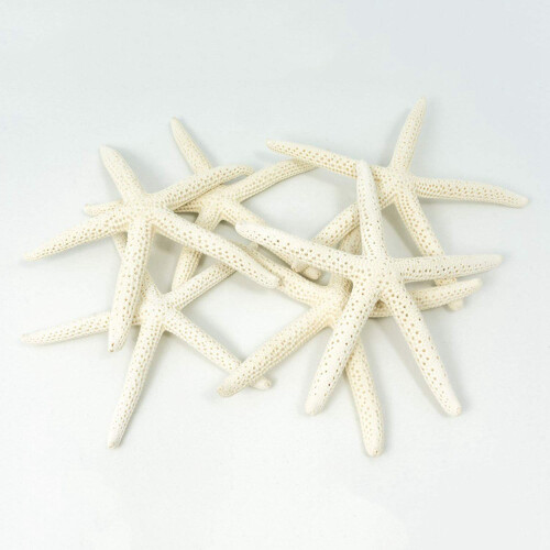 12PCS White Finger Starfish 5-10cm Decorative five-finger starfish 1