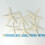 12PCS White Finger Starfish 5-10cm Decorative five-finger starfish 5