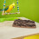 Bird Perch Stand: Platform , Budgie 4