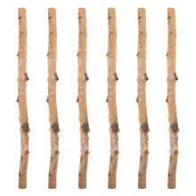 6 Unidades De Madera Natural Para Manualidades Y Decoración