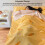 Super Thin Dust-Proof Polyester Sleeping Bag 80x210cm for Travel 3