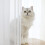 Window White Sheer Curtains 84 Inches Long 2 Panels Sheer White Curtains Clear Curtains Basic Rod Pocket Panel 6