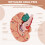 Human Brain,Life Size Human Brain Anatomy Model with Display Base, for Science Classroom Study & Teaching Display B 3