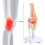 Anatomical Knee Joint with Ligaments Model, Human 1:1 Life Size, for Science Classroom Study, Display Teaching B 7