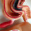 Teaching Model,Human Large Intestine Anatomy Model Visceral Lesion Model Human Digestive System Learning Model 5