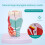 Human Throat Model, Anatomically Accurate Throat Model, Anatomy Classroom Learning Display Teaching Medical-Model 3