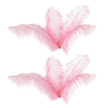 20 Pcs Natural Ostrich Feathers Wedding Party Decoration 20-25cm