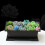 2X Large Flower Pot Rectangle Bonsai Nursery Planter Balcony Container 29X21X10.5cm 3