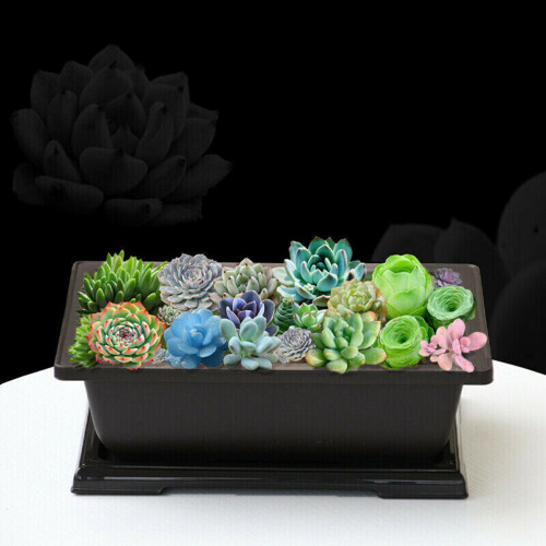 2X Large Flower Pot Rectangle Bonsai Nursery Planter Balcony Container 29X21X10.5cm 2