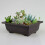 2X Large Flower Pot Rectangle Bonsai Nursery Planter Balcony Container 29X21X10.5cm 6