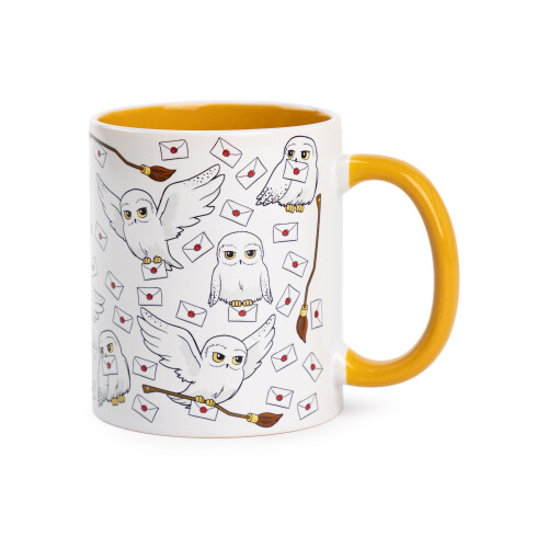 Harry Potter Harry Potter Mug and Sock Gift Set (Womens Multicoloured) 1