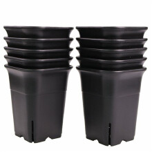 36PCS-Pack Black Square Plastic Succulent Plant Pot for Plant Flowers Cactus, Etc., Black Nursery Flower Pot