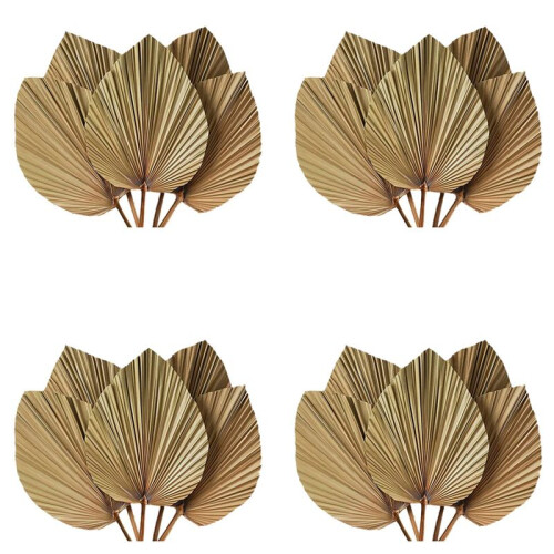 Folhas de Palmeira Secas para Decoração de Quarto 20 Peças - 18 Polegadas H X 10 Polegadas W  Decoração Natural em Folha de Palmeira para um
