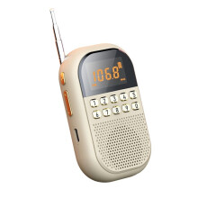 Radio FM AM de Poche avec Grand Écran LCD, Récepteur Radio DSP, Haut-Parleur Sans Fil, Carte TF, Lecteur de Musique pour Personnes Âgées B