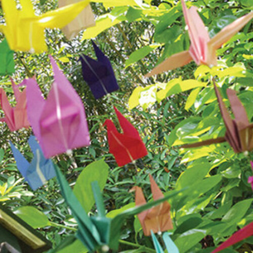 Εξατομικευμένα έργα Origami, σχέδιο 50 ζωηρών χρωμάτων σε φύλλα διπλής όψης για 1