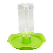 Distributore automatico di acqua per rettili, design dalla forma particolare, facile da riempire, bottiglia trasparente, materiale di qualità e