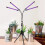 Zusammenklappbare Pflanzenlampe mit verstellbarem Ständer und Timer Black 3