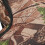 T Shape Canvas Bow Bag with Adjustable Strap for Outdoor Archery 9