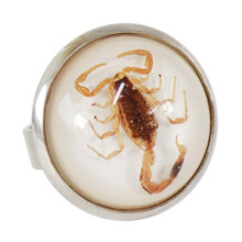 Scorpion Rings Versatile and Fashionable Opening Rings-White
