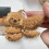 Dolls Bag Keychain Plush Keys Chain Backpack Pendant for 6