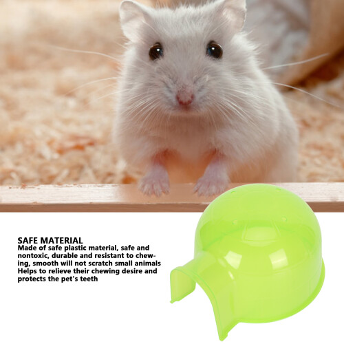 Contenitore trasparente in plastica per sabbia hamster 16x14x9cm 2