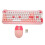 Wireless Pink Keyboard & Mouse Set, 2.4G, 10m Range 2