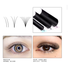 Hitzebeständige Wimpern, leichte koreanische schwarze PBT-Wimpern für einen natürlichen Look und einfache Fächerwimpern, 12 Reihen/Schale,