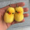 Boucles d'oreilles pendentif canard jaune, doux et mignon, 5