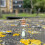 1 Paar transparente 7