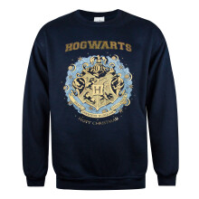 Harry Potter Christmas Jumper (Mens Blue)