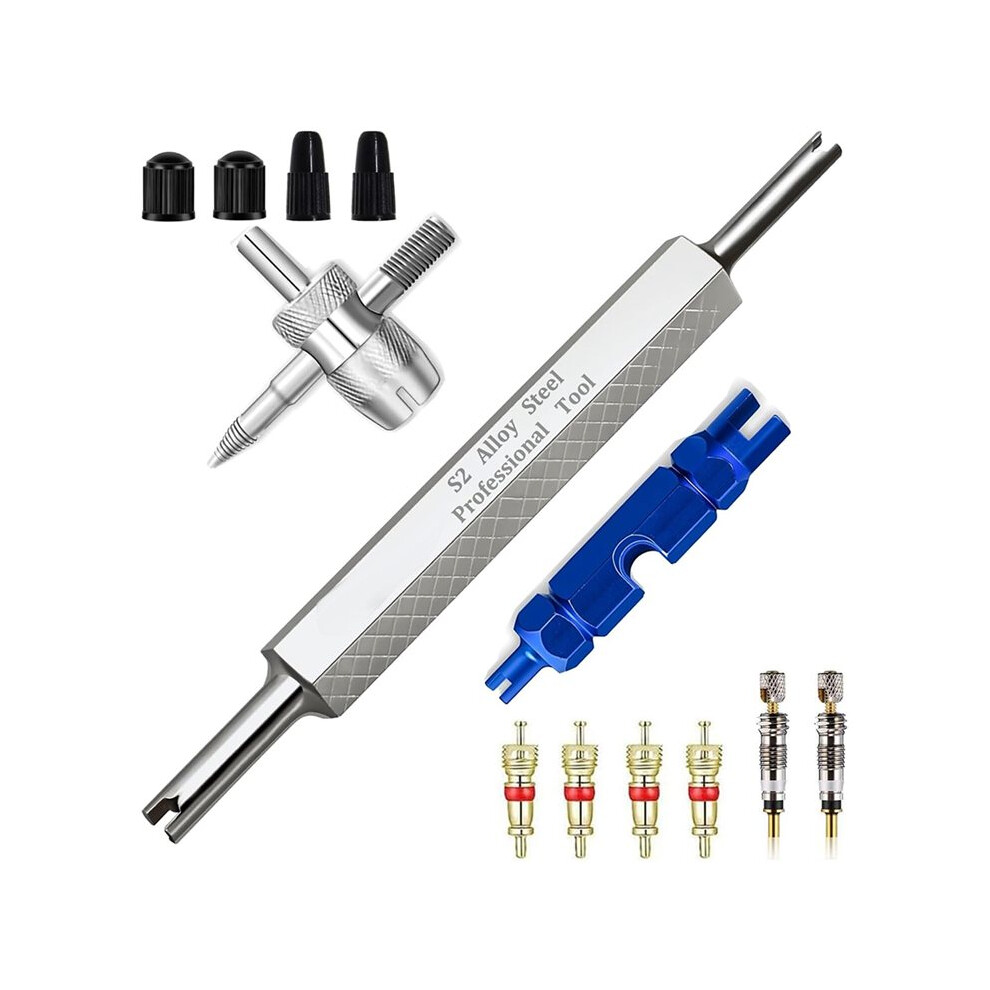 Tire Valve Stem Removal Tool Kit, R134a R12 A/C Schrader Valve Stem Core Remover Tool For Car Bicycle Tyre Rv Truck 4712462292966