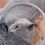 Soft Cat Recovery Collar Protective Adjustable Pet Cone Collar for After Surgery Comfortable Elizabethan Collar M 6
