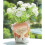 Gebetsmädchen-Form, Blumentopf, Sukkulenten-Pflanzgefäß, 6
