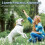 (As show, One size) Ultrasonic Dog Bark Control Device - Effective Training and Barking Deterrent 3