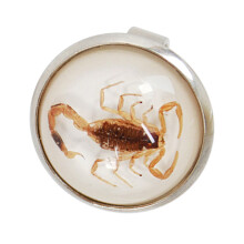 Trendy Scorpion Rings Versatile and Fashionable Opening-White
