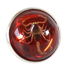 Round Shaped Charm Rings Fashion Opening Rings Unisex-amber