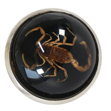 Scorpion Rings Animal Charm Opening Rings Trendy Luminous-Black