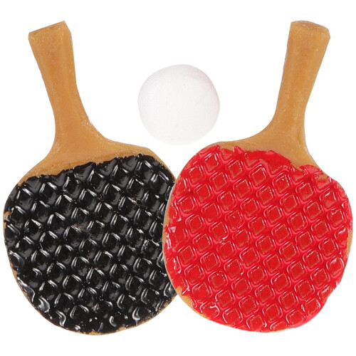 6 Sets Mini Tischtennisschläger Mikro Landschaftsdeko 1