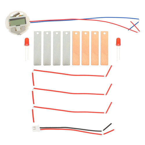 6 Sets Wissenschaftliches Experiment Obstbatterie Diy 1