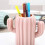Pennenhouder Briefpapier Rek Leerling Cactus 4