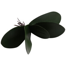 Phalaenopsis Orchideen BläTter KüNstliche Echt Aussehende Wurzeln Latex Kontakt Pflanzen GrüN Faux Blatt Anordnung,6 StüCk